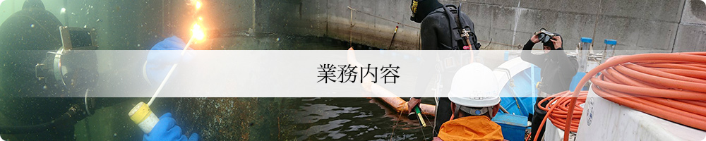 業務内容